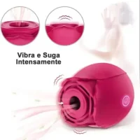 rosa04